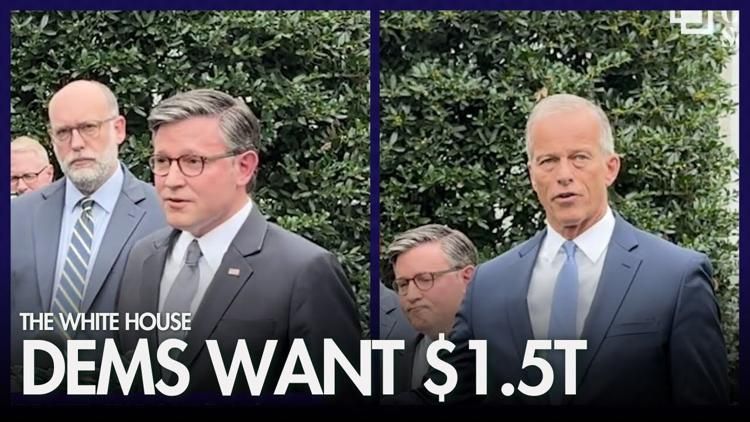 Mike Johnson and Republican Congressmen hold a press conference