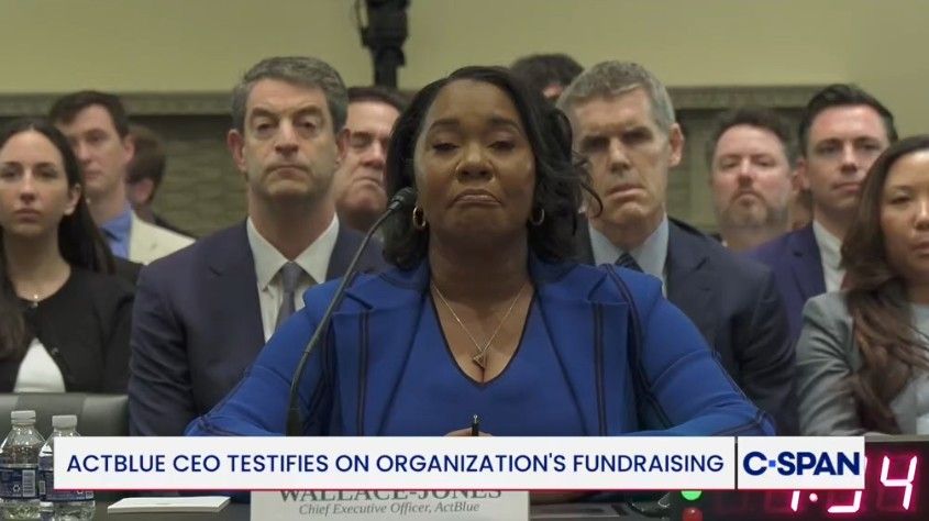 Screenshot of ActBlue CEO Regina Wallace-Jones' House appearance.