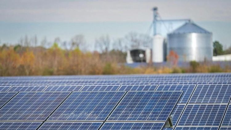Rows of solar panels stand on a farm with silos in the background. Photo: Mark Stebnicki / Pexels