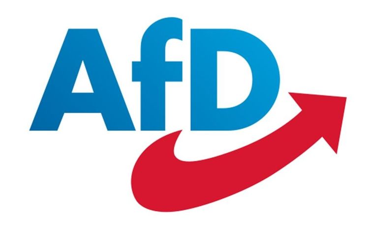 Anti-Immigration AfD Posts Historic Win in Eastern German State Election